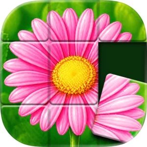 Jigsort™: Solitaire
