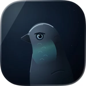 War Pigeon