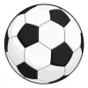 Futbolista: Soccer Life